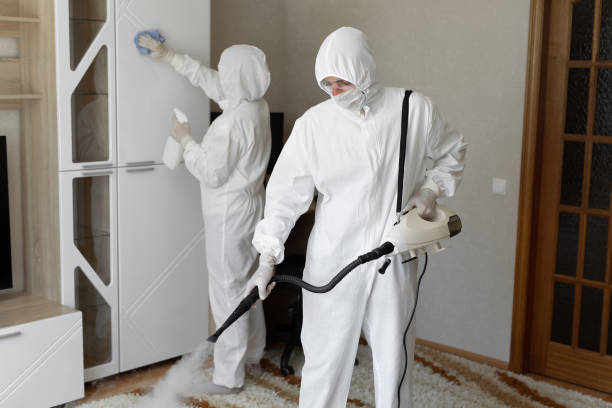 Best Commercial Mold Removal  in Basking Ridge, NJ